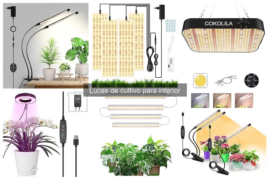 Mantenimiento de luces de cultivo: cuidados y limpieza