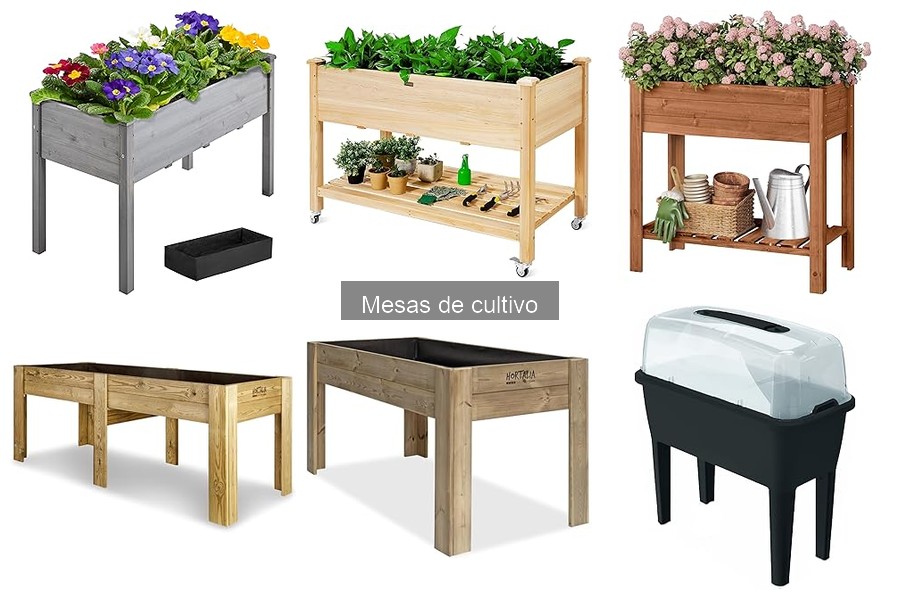 Mantenimiento de Mesas de Cultivo: Cuidados Esenciales