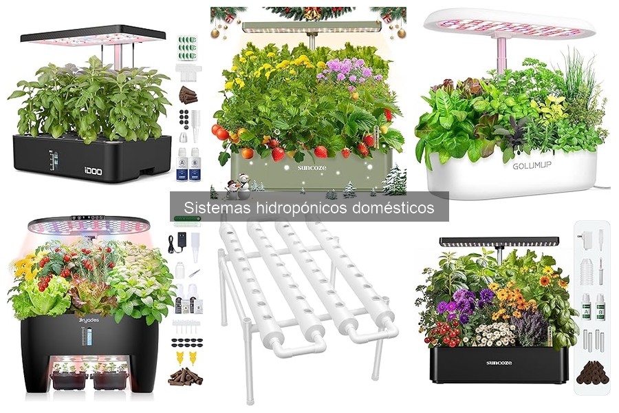 Mantenimiento de Sistemas Hidropónicos: Prácticas Esenciales