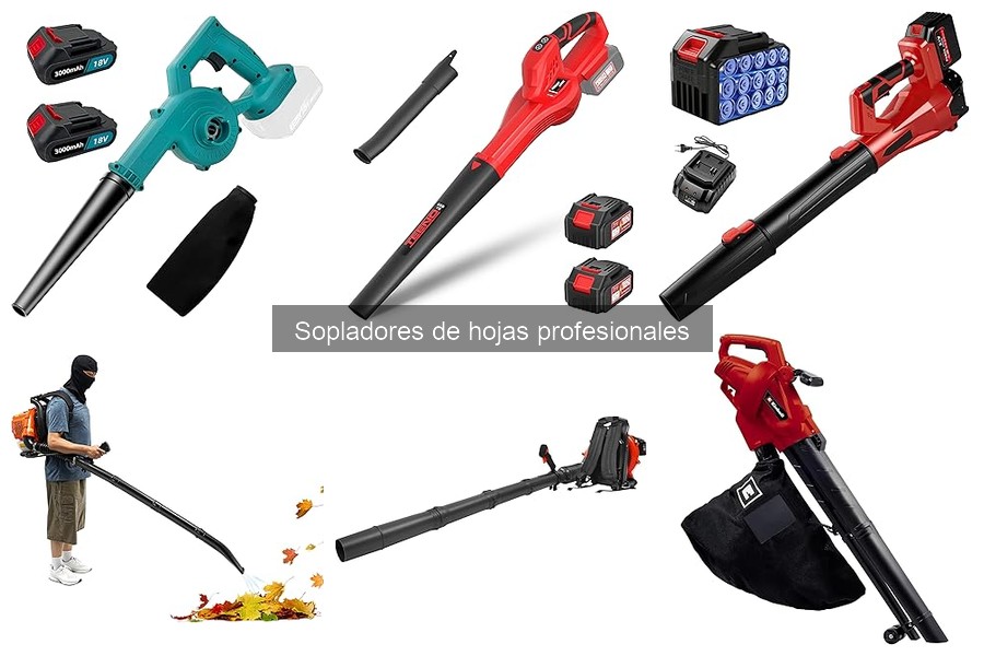 Mantenimiento y limpieza de sopladores de hojas profesionales