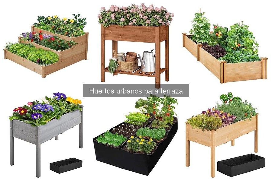 ** Maximiza tu huerto urbano en terraza: consejos prácticos