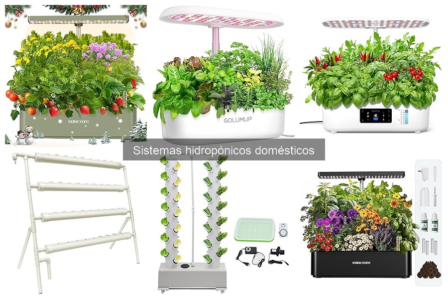 Mejores cultivos para sistemas hidropónicos en casa