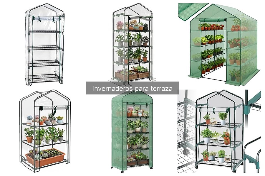 Mejores invernaderos para terraza en 2023: Guía de compra