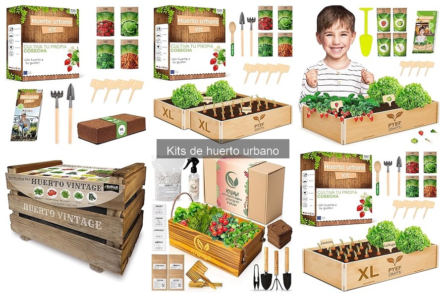 Mejores kits de huerto urbano para principiantes en 2023