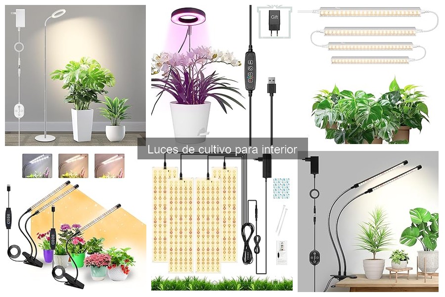 Mejores luces de cultivo para pequeños espacios interiores