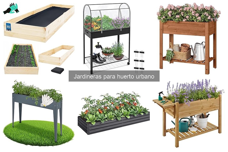 Mejores plantas para cultivar en jardineras urbanas