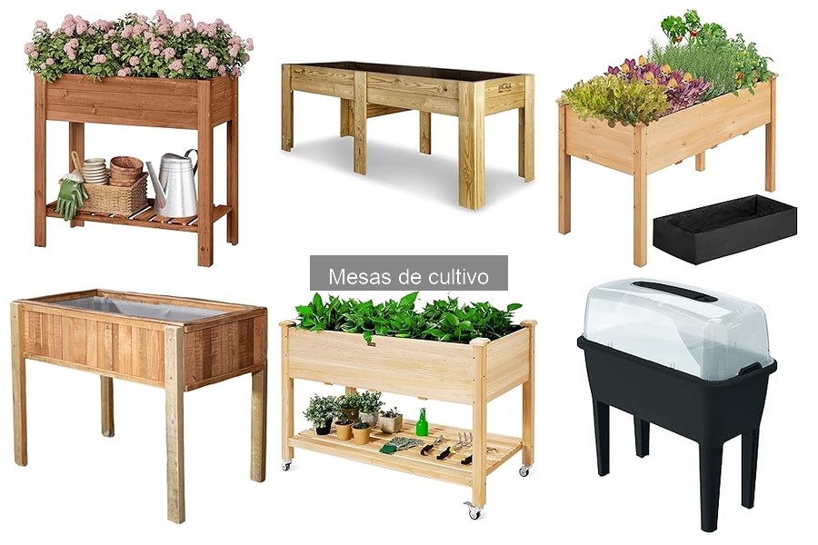 Mejores plantas para cultivar en mesas de cultivo
