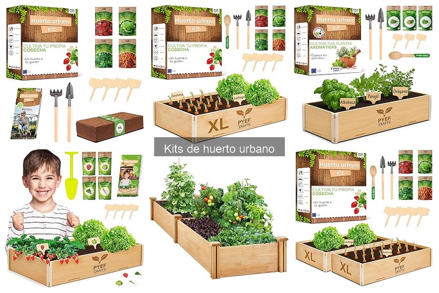 Mejores plantas para tu kit de huerto urbano