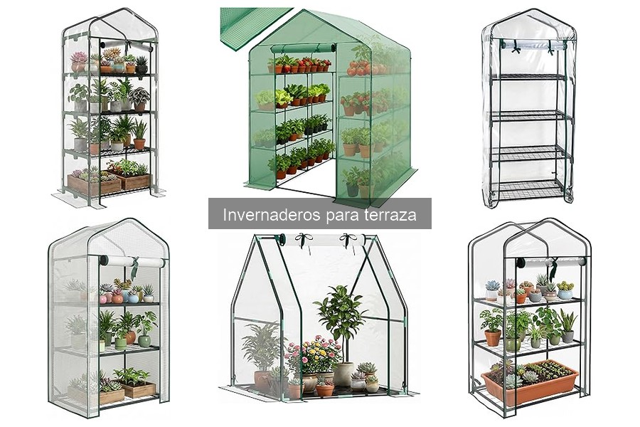 Mejores plantas para un invernadero en terraza: consejos útiles