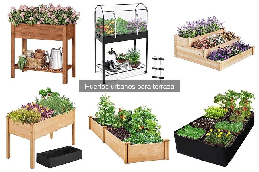 Mejores semillas para huertos urbanos en terraza 2023