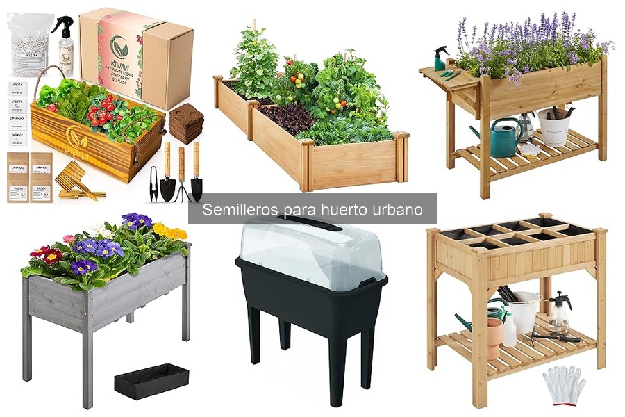Mejores semilleros para principiantes en huertos urbanos