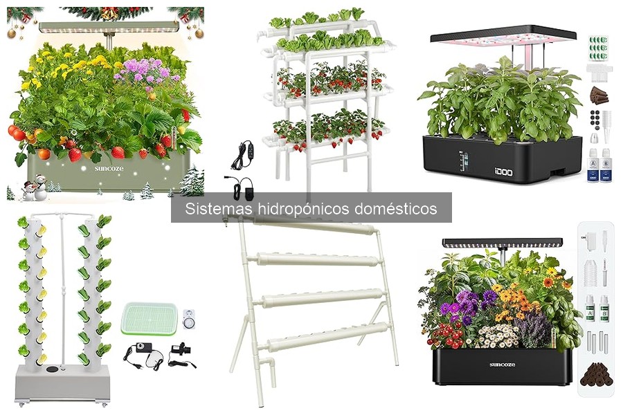 Mejores sistemas hidropónicos para principiantes en casa
