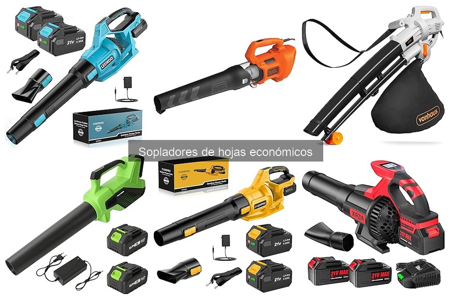 Mejores sopladores de hojas económicos 2023: comparativa