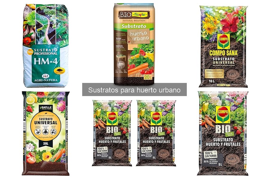 Mejores sustratos para cultivar hortalizas en casa