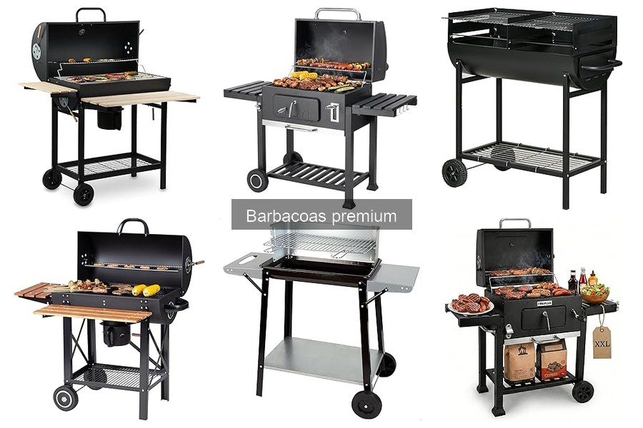 ¿Merece la pena una barbacoa premium? Pros y contras