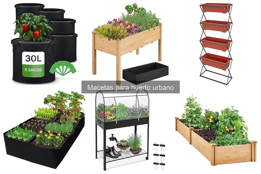 Mitos sobre macetas para huertos urbanos: ¡Desmontando creencias!