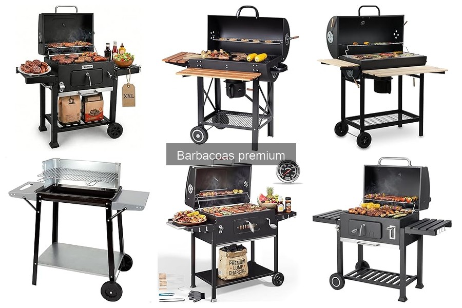 Ofertas y Descuentos en Barbacoas Premium para Ahorrar