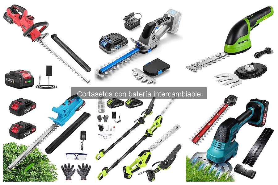 Opiniones de cortasetos con batería intercambiable