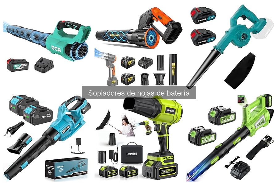 Opiniones de Usuarios sobre Sopladores de Hojas de Batería