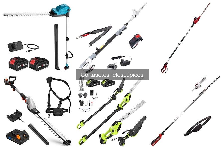 Opiniones sobre cortasetos telescópicos: ¿vale la pena comprarlos?