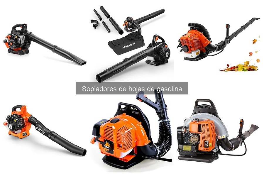 Opiniones sobre Sopladores de Hojas de Gasolina 2023