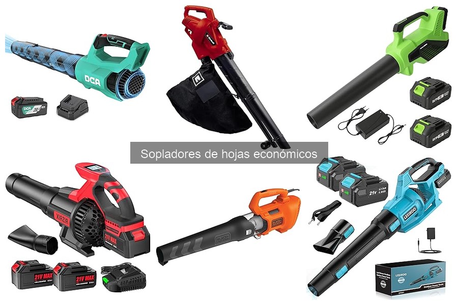 Opiniones sobre Sopladores de Hojas Económicos en 2023