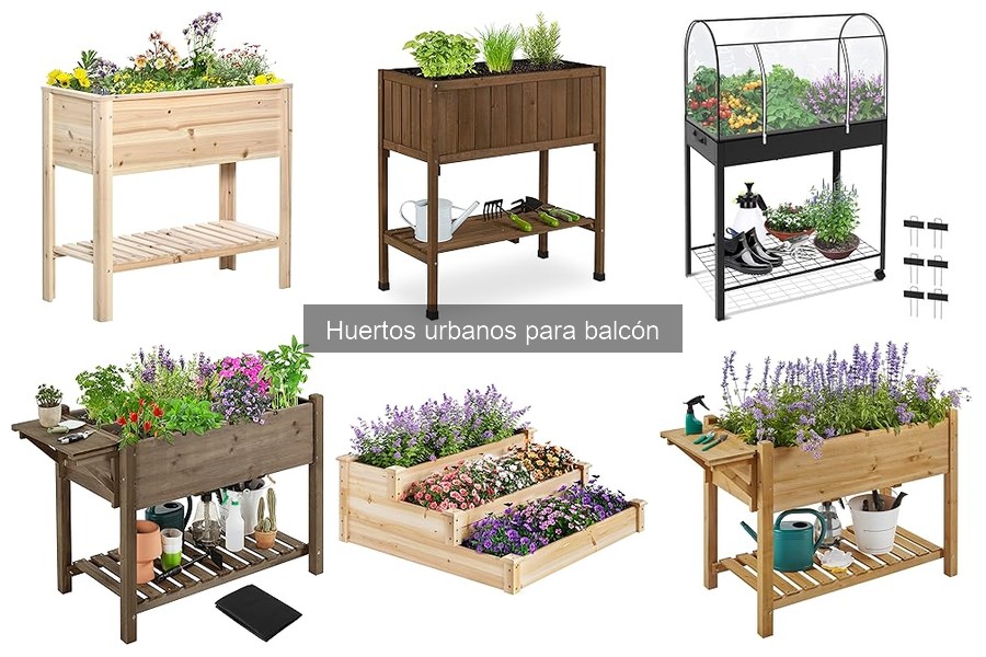 Plantas ideales para tu huerto urbano en balcón