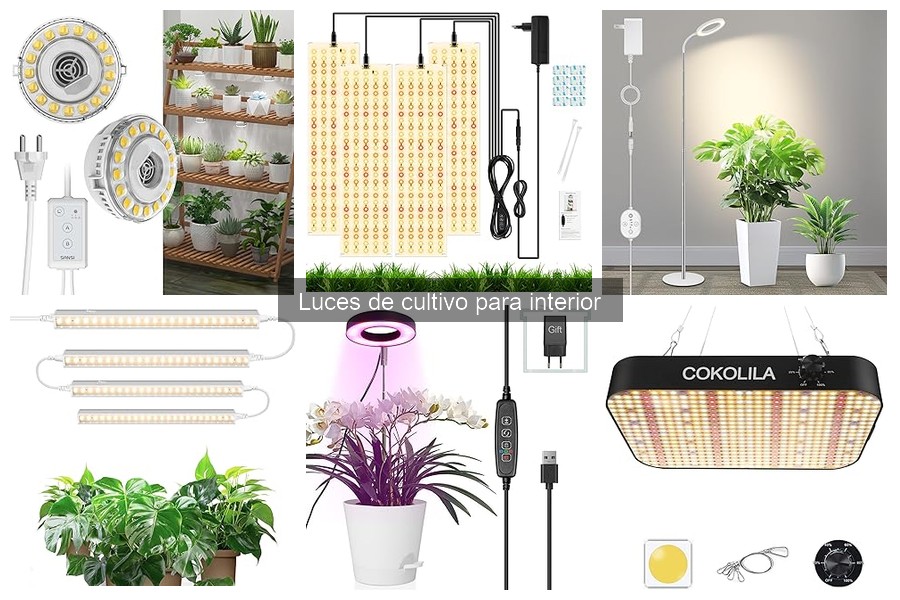 Precios de luces de cultivo para interior: guía 2023