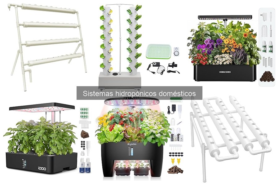 Precios de Sistemas Hidropónicos: Comparativa 2023