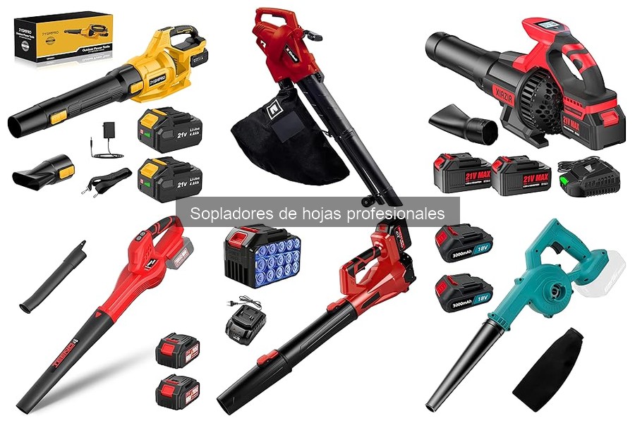 Precios de Sopladores de Hojas Profesionales y Dónde Comprarlos