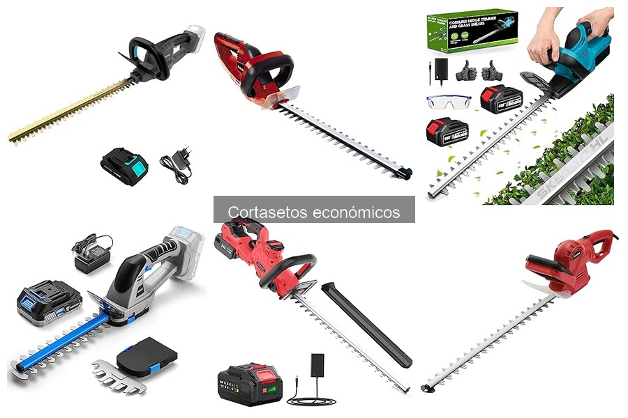 Preguntas Frecuentes sobre Cortasetos Económicos