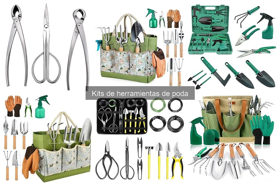 Preguntas Frecuentes sobre Kits de Herramientas de Poda