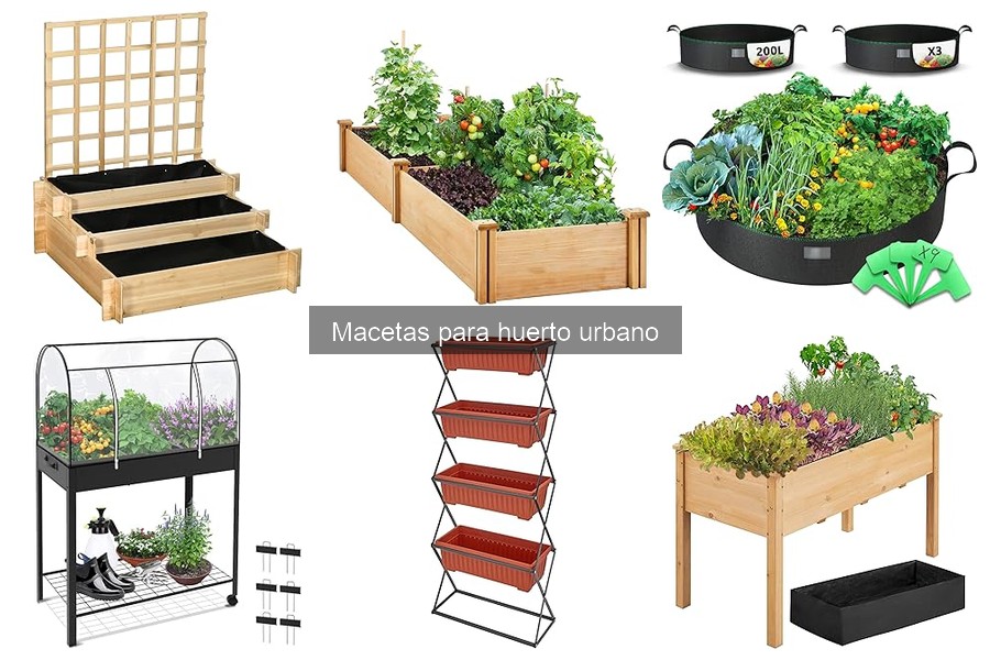 Prevención de Plagas en Macetas para Huerto Urbano
