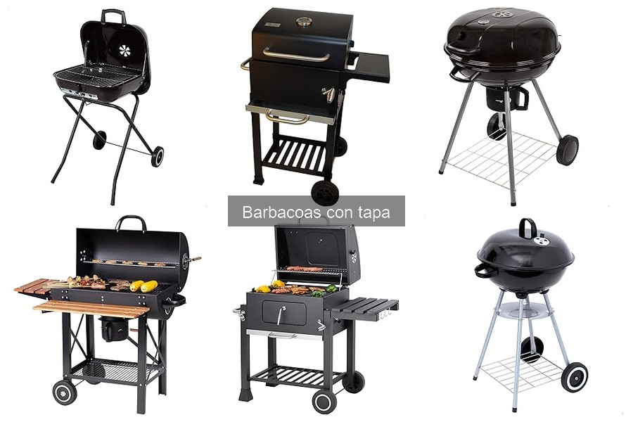 Problemas Comunes al Usar Barbacoas con Tapa y Soluciones