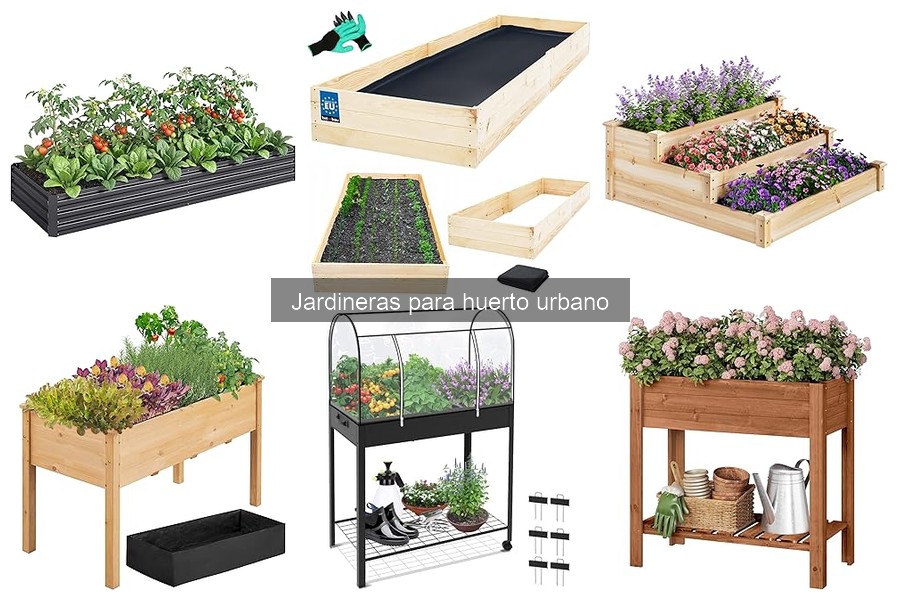 Problemas comunes al usar jardineras en huertos urbanos