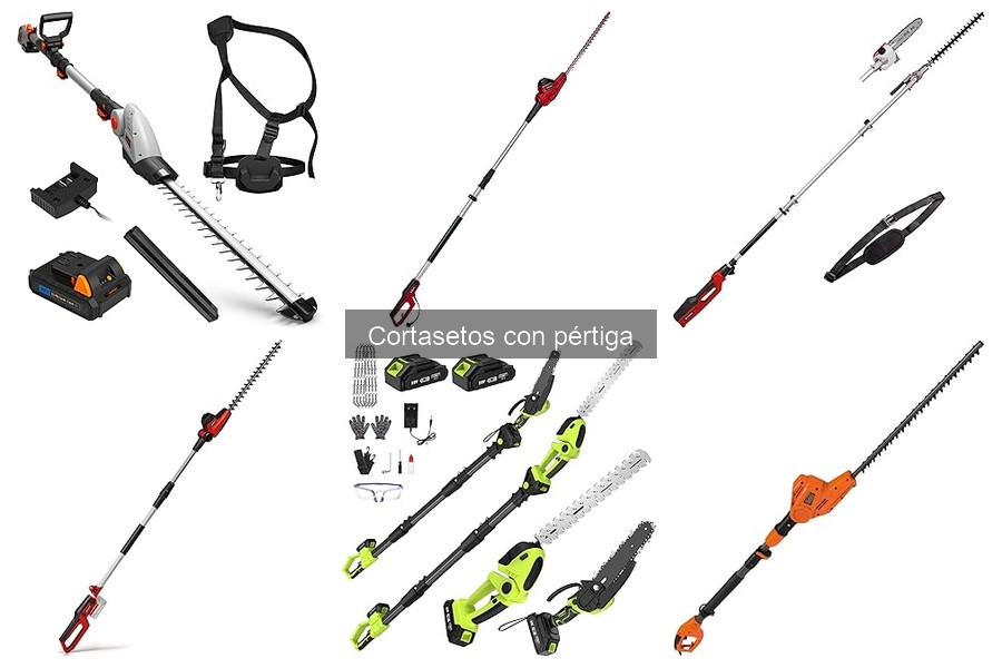 Problemas comunes con cortasetos con pértiga y soluciones
