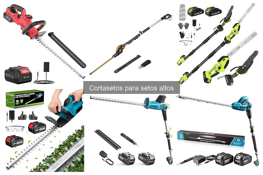 Problemas Comunes con Cortasetos para Setos Altos