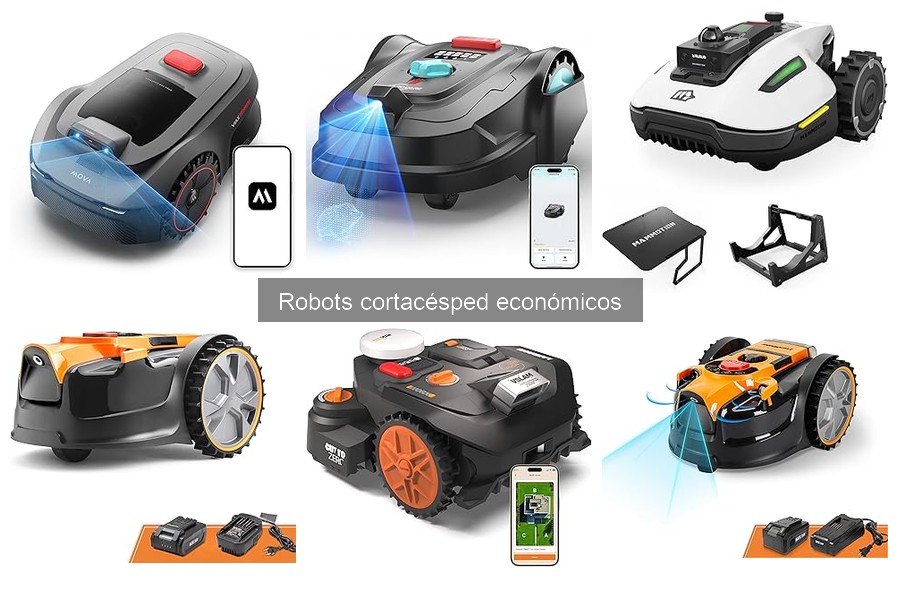 Problemas comunes con robots cortacésped económicos y soluciones