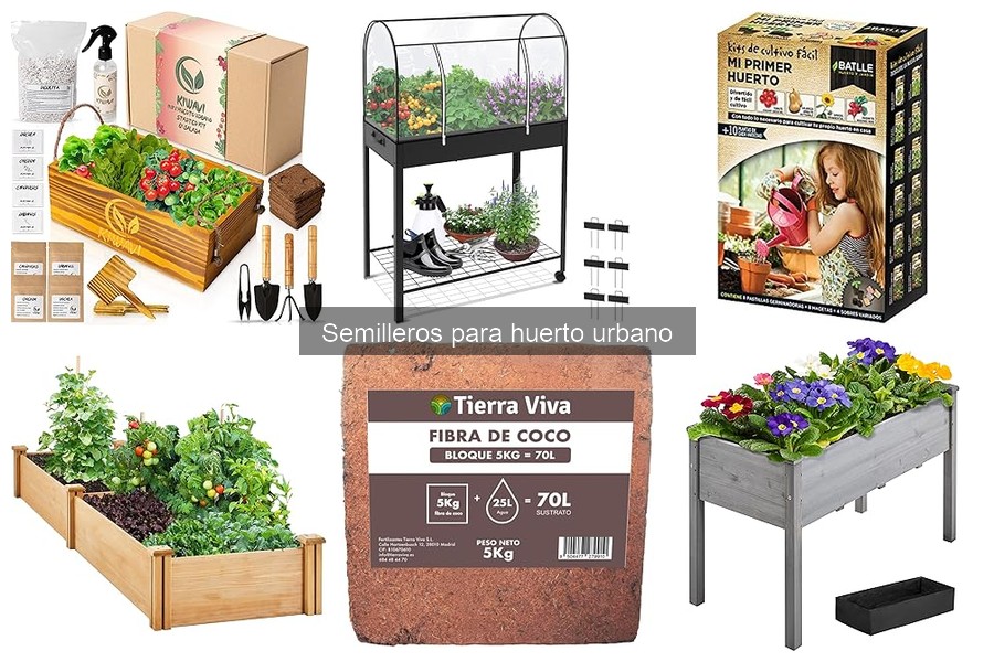 Problemas comunes con semilleros en huertos urbanos