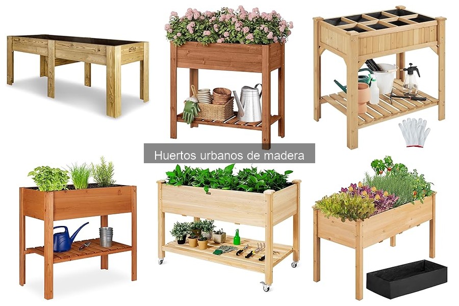 Problemas comunes en huertos urbanos de madera y soluciones
