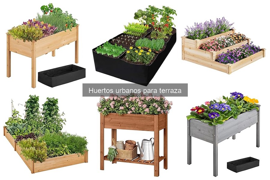 Problemas Comunes en Huertos Urbanos y sus Soluciones