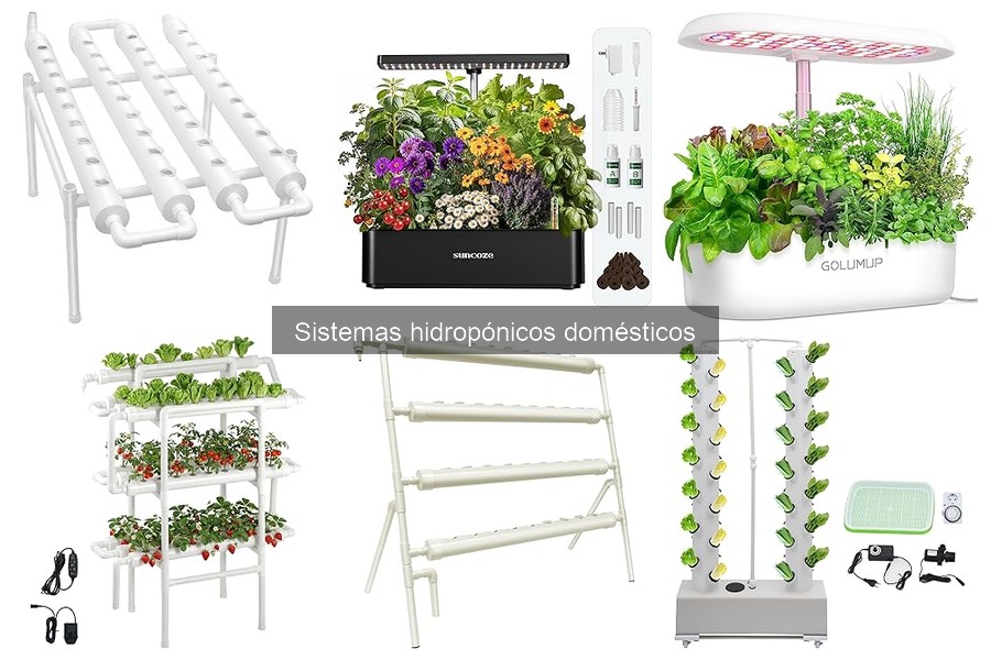 Problemas comunes en sistemas hidropónicos y sus soluciones