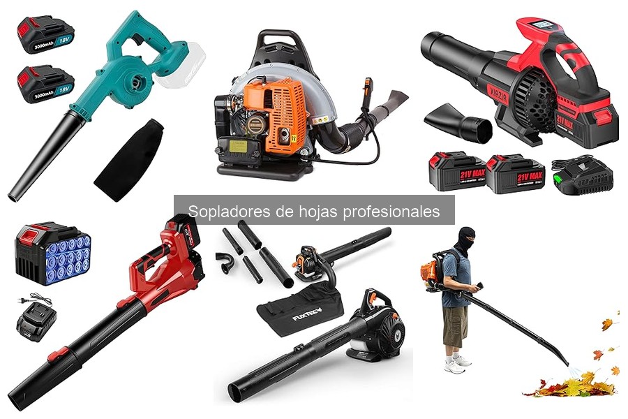 Problemas comunes en sopladores de hojas profesionales