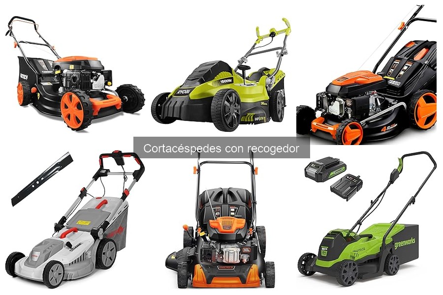 ¿Qué es un cortacésped con recogedor? Características y Usos