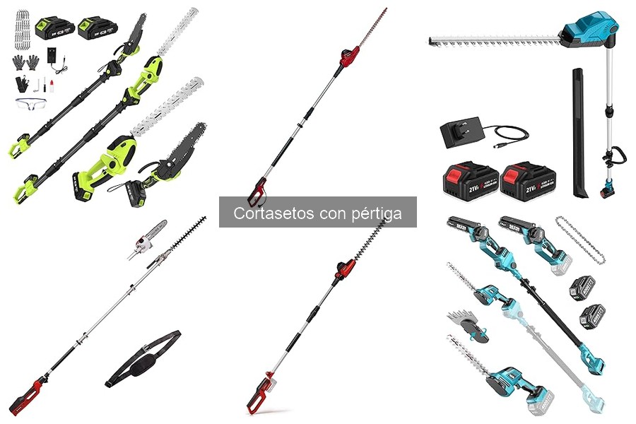 ¿Qué es un cortasetos con pértiga? Te lo explicamos aquí
