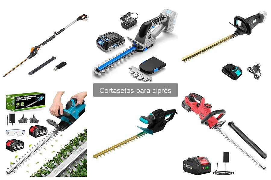 ¿Qué es un cortasetos para ciprés? Características y Tipos