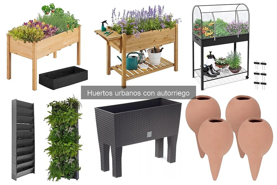 ¿Qué es un huerto urbano con autorriego? Descubre sus beneficios