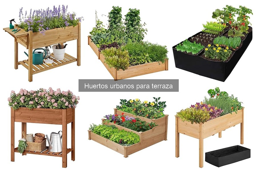 ¿Qué es un huerto urbano en terraza? Descubre sus características