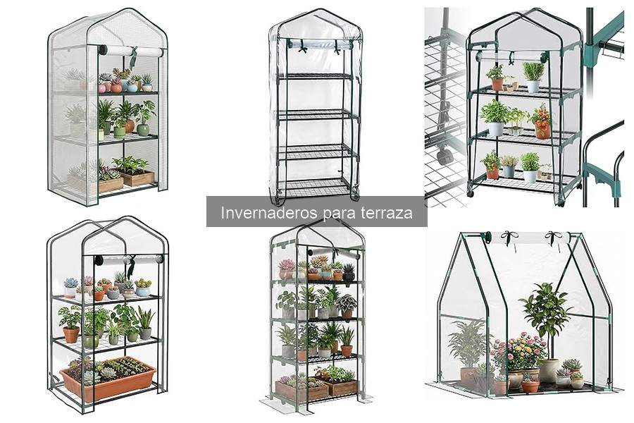 ¿Qué es un invernadero para terraza? Definición y Usos