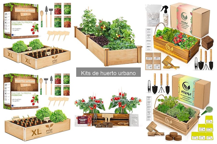 ¿Qué es un kit de huerto urbano? Descubre sus características